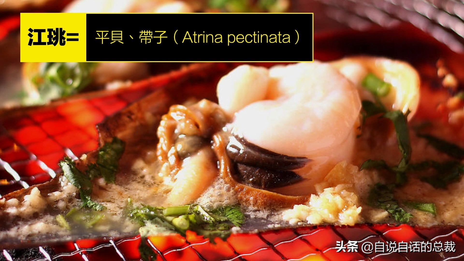 海鲜蛤蜊与蛤蜊区分,蛏子与小人蚬的区别