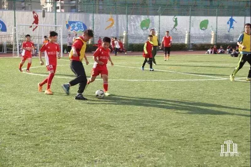 郑州经开区朝凤路小学怎么样,郑州经开区小学排名一览表