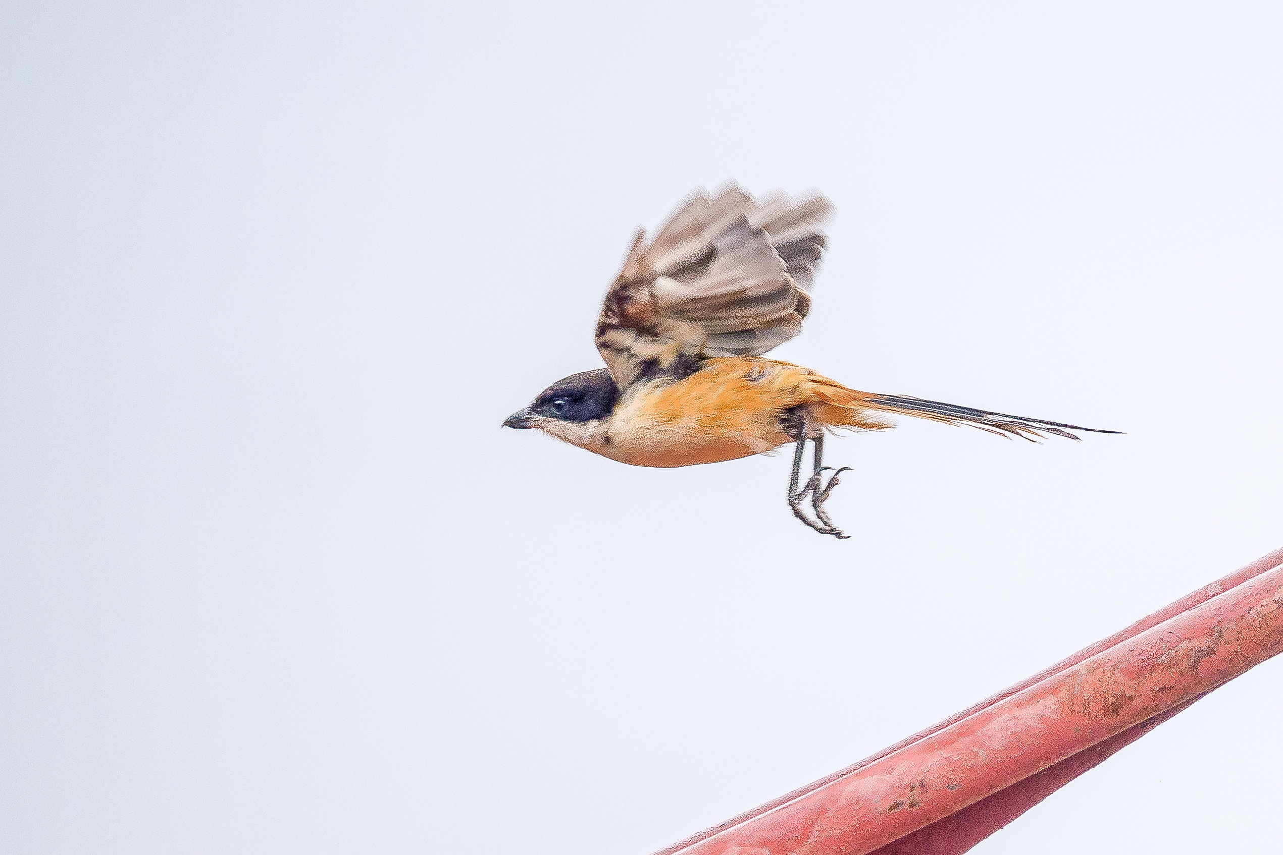 秋季川西摄影自驾游,川西七日自驾游攻略自由行