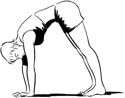 贴壁训练,普拉提体能训练动作大全