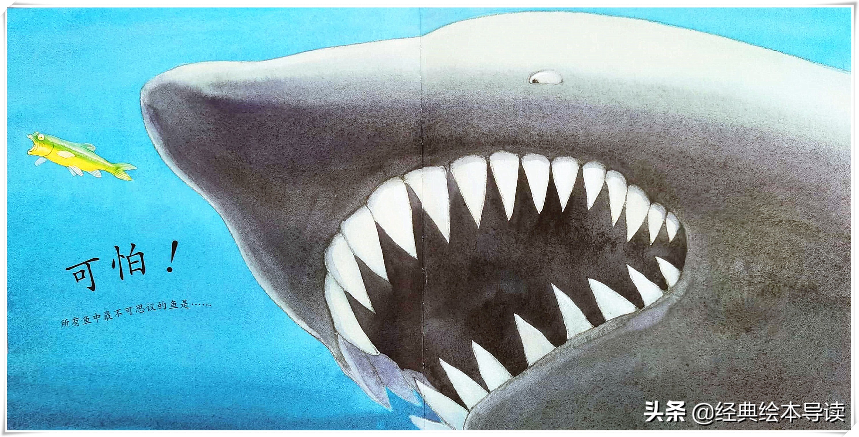 世界因此而改变——《一条聪明的鱼》导读