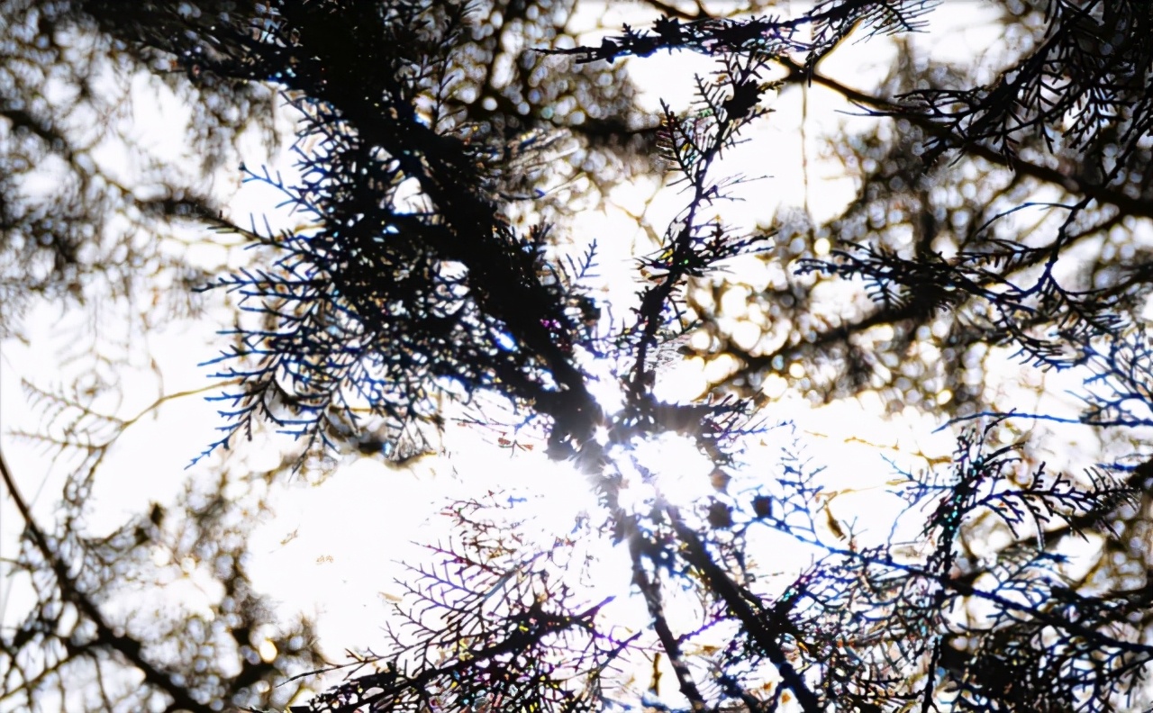 L鍗″彛闀跨劍闀滃ご,l鍗″彛70-300闀跨劍闀滃ご鎺ㄨ崘