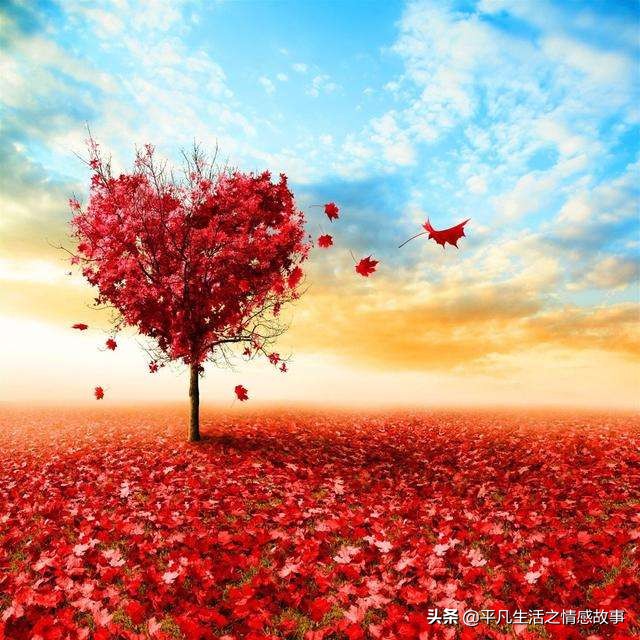 我拥抱了秋韵送来的那份景致