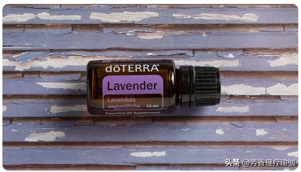 lavender薰衣草originalmix,薰衣草别名