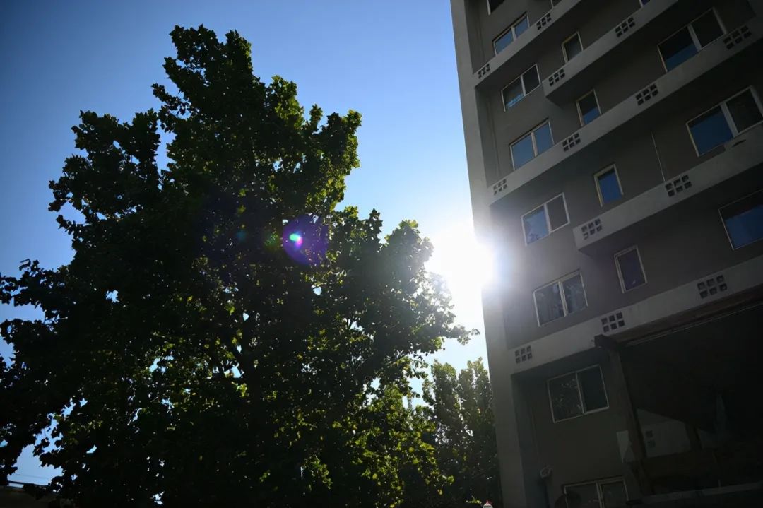 尼康z50配dx镜头,尼康zdx镜头