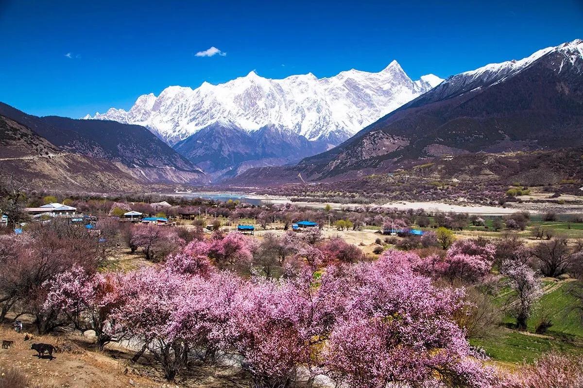 中国唯一不收费的高速公路,中国旅游风景最好的四条高速