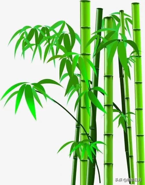 浅议孔子思想及其衍变,浅议轻谈