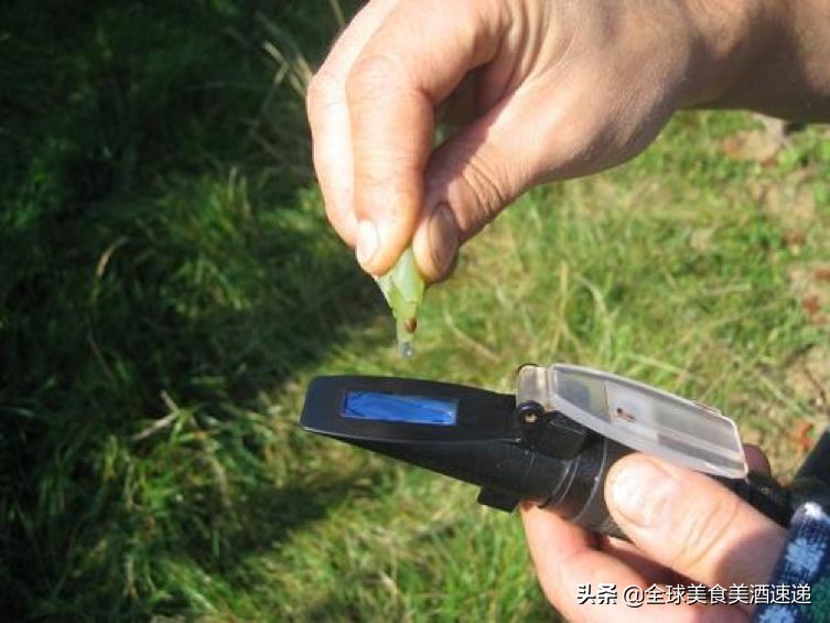 法国葡萄园工人收入,在法国葡萄酒厂打工赚钱吗