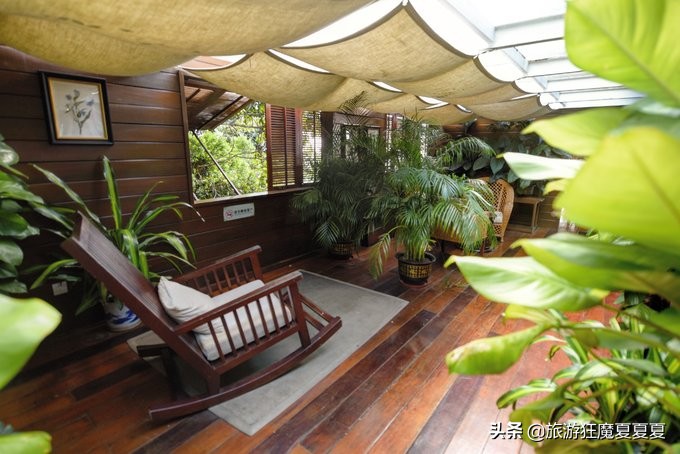 三亚亚龙湾热带雨林美景,在三亚感受亚龙湾的惬意