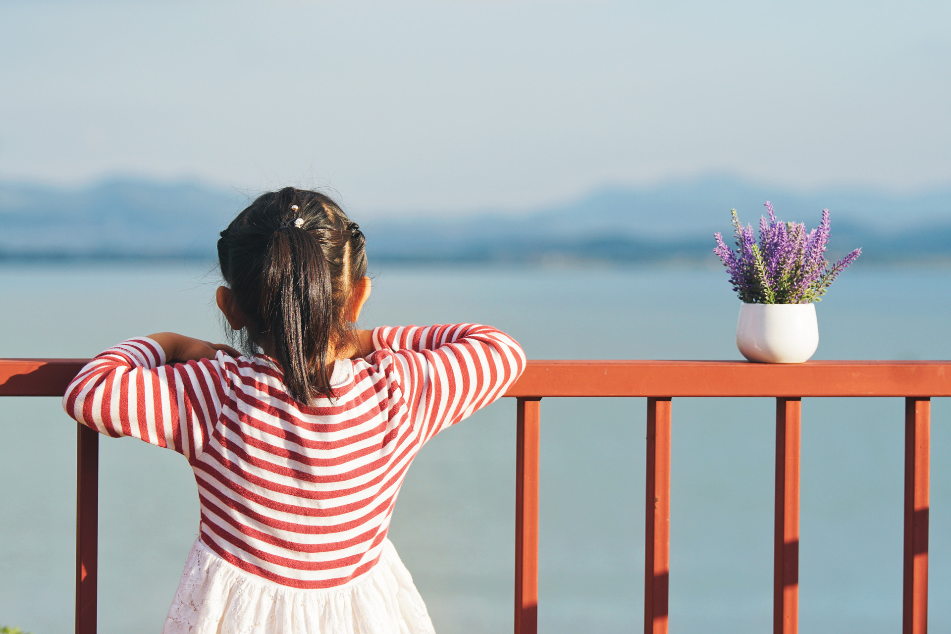 完美人生尊享,完美人生提升智商