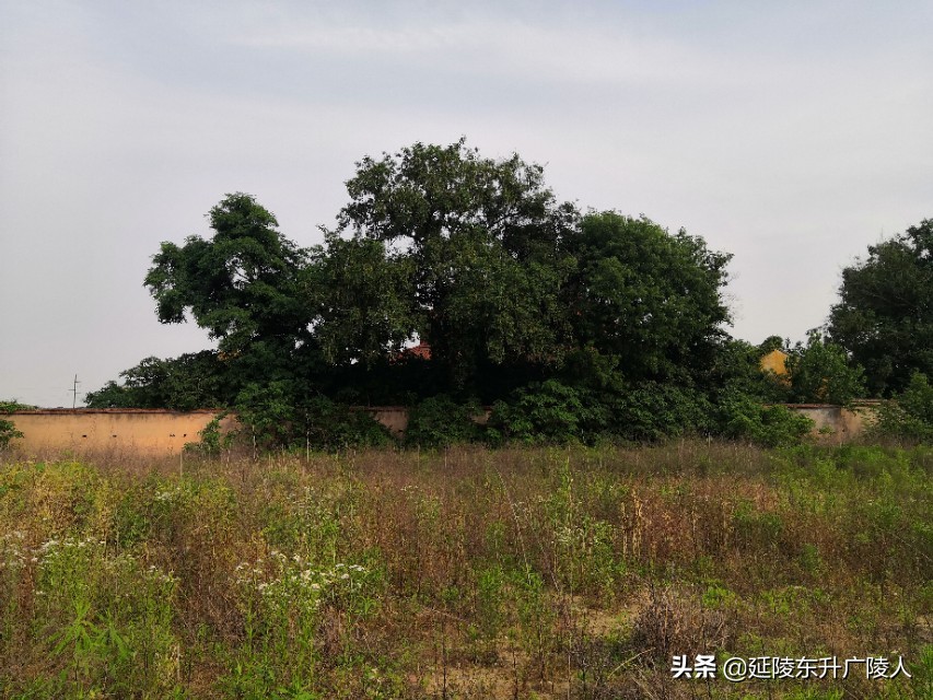 常州胥城遗址与恽南田的家乡