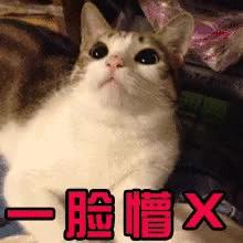 江门市二手房新政策,外地人在江门买房的忠告