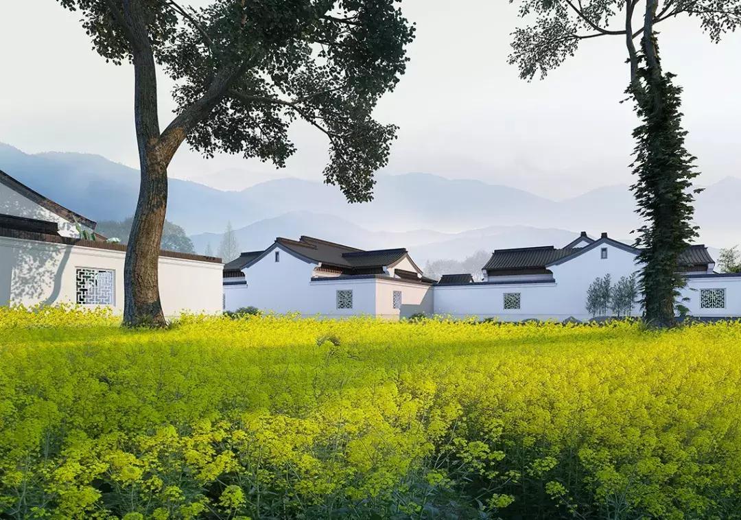 安吉桃花源芳竹园户型,绿城安吉桃花源隐竹园