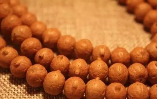 凤眼菩提的眼睛,尼泊尔凤眼菩提眼睛都是凸起来的