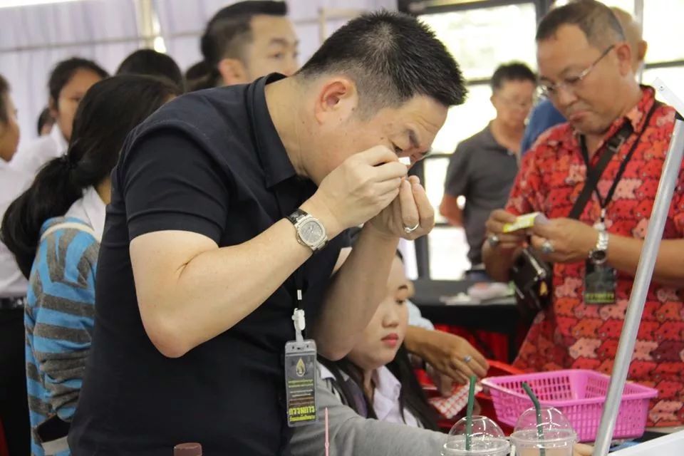 2494普陀耐大模价格曝光和综合鉴定方法「鉴变」