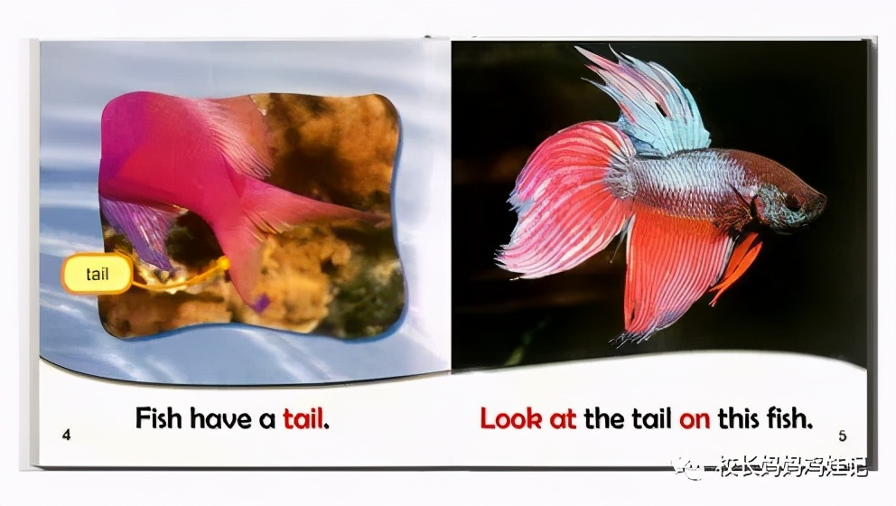 怎么给幼儿讲英语绘本故事,怎样给孩子讲英语的启蒙