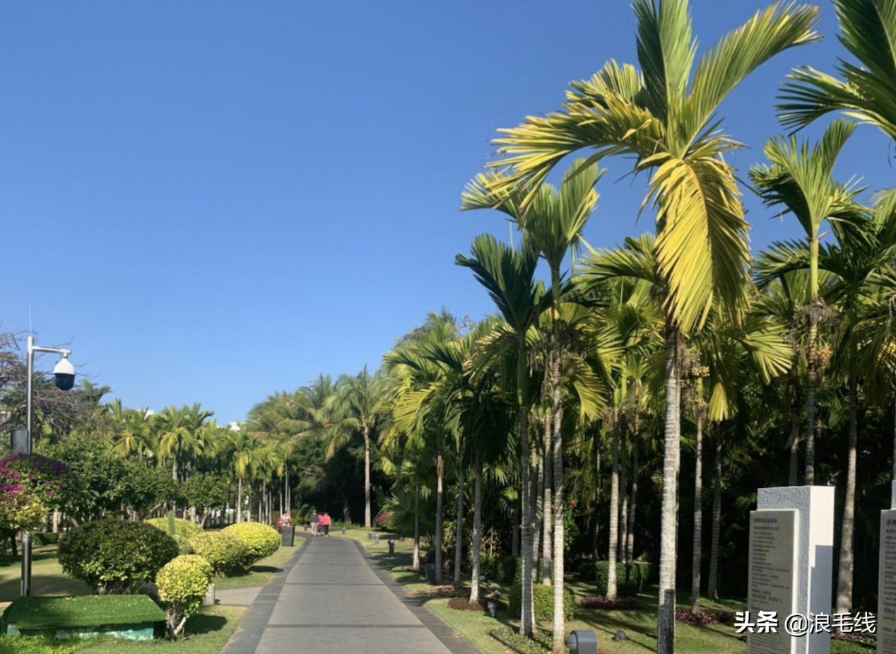 这个地方并不是富人的专属，不如春节假期去三亚度个假吧