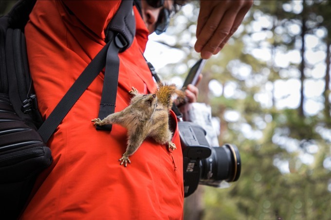 消失的地平线上的“香巴拉”和“女儿国”（二）