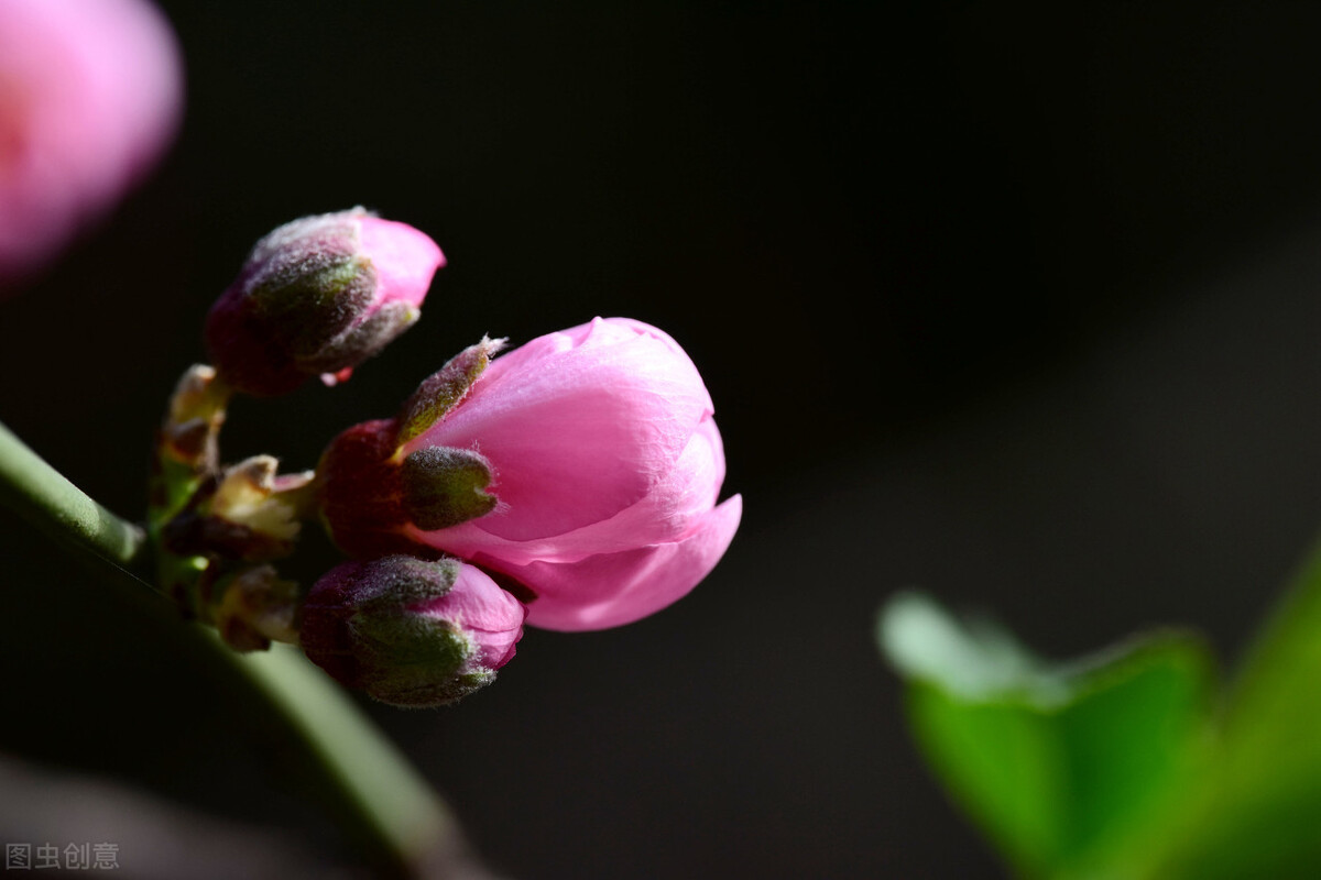 述职报告,转正述职报告
