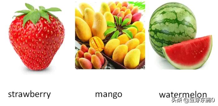 大脑思维导图,大脑就是一张思维导图