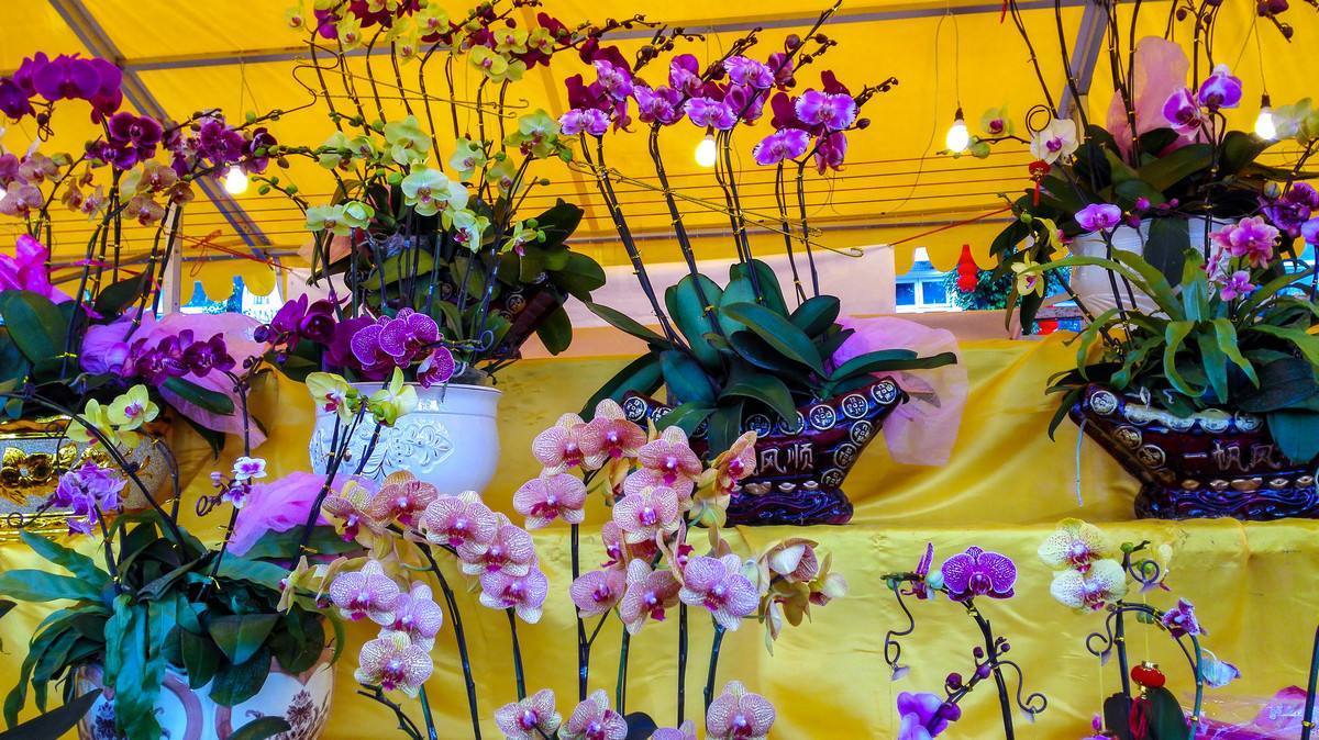 这3个地方一定不能错过,养花基地最近的地方