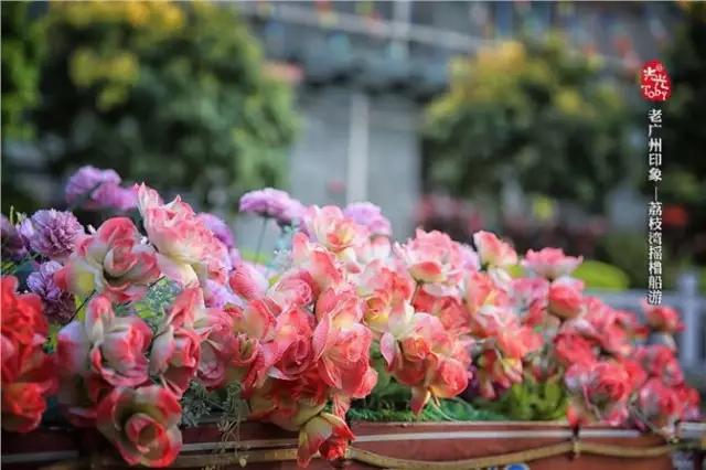 广州早茶看粤剧,老广州早茶听粤剧