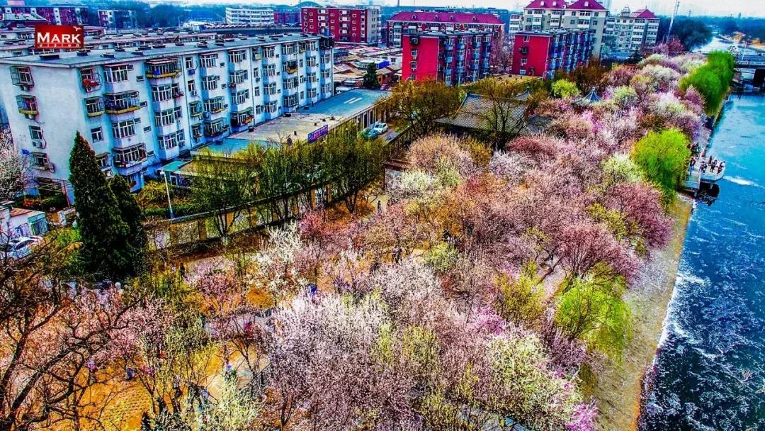 鎴戠埍鎴戝鎴垮瓙灏忓尯,鎴戠埍鎴戝闇稿窞鎴垮瓙