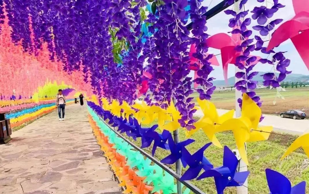 花开倾城彩云岭文旅融合谱新篇“壮丽70年，微眼看家乡”之宝清县篇