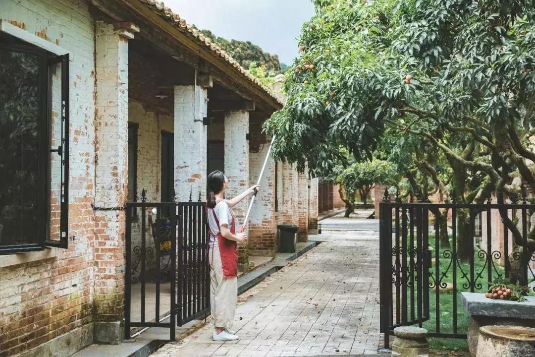 放弃世界顶尖银行工作,他回村当木匠,在废墟上盖出了爆美小院!