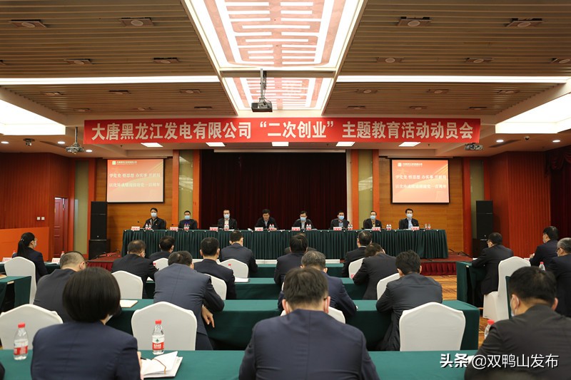 大唐黑龙江新能源有限公司,大唐黑龙江公司