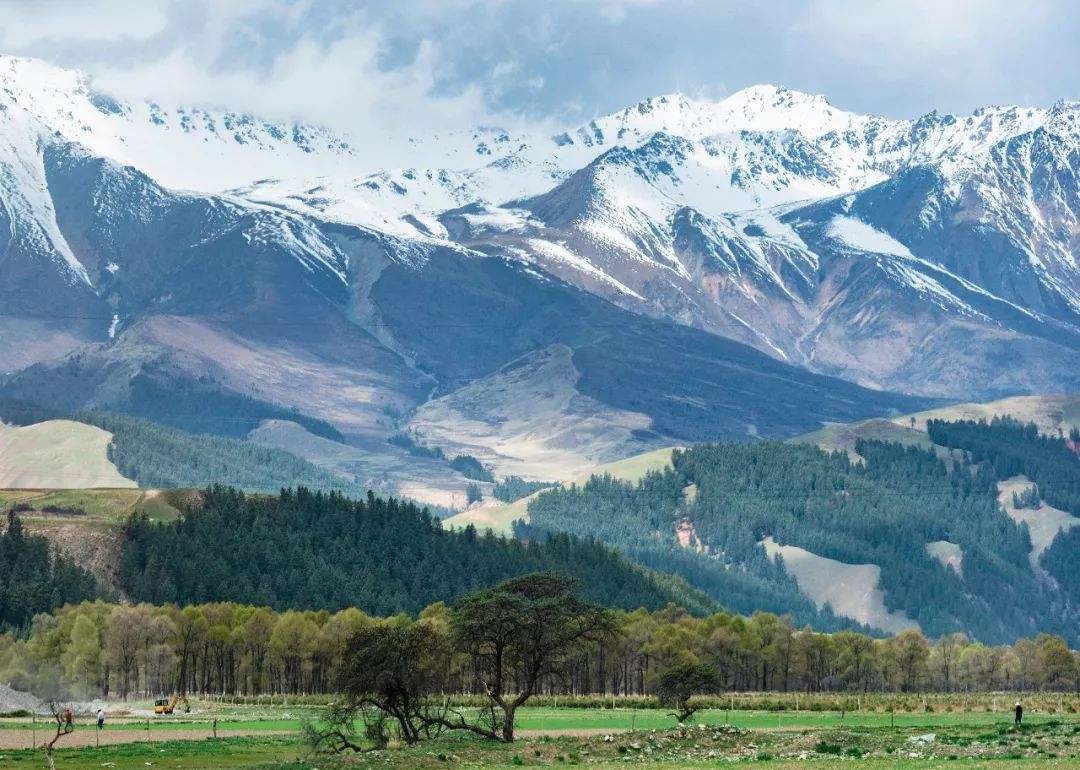山峰和山地的区别是什么,低山和高山的区别