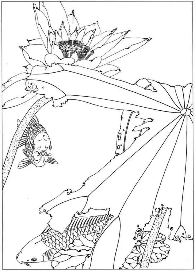简单易画的工笔画线稿,各种鱼类工笔画图片