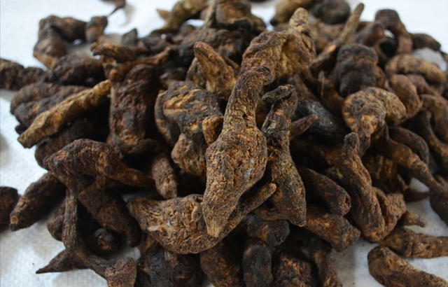 中医地黄的功效与作用,滋阴最好的中药地黄