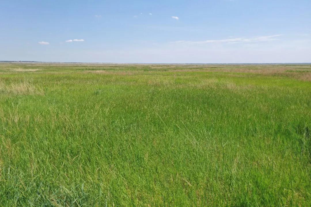 林业生态旅游科普,林草科普