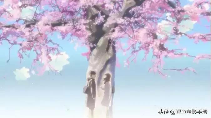 十部顶级动画温暖治愈电影,人生必看的经典治愈系动画电影