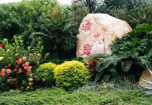 广州本地人最喜欢去的20个地方,你去过几个?