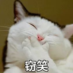 女人保健品推荐提高免疫力补气血,增强体质提高免疫力吃什么保健品