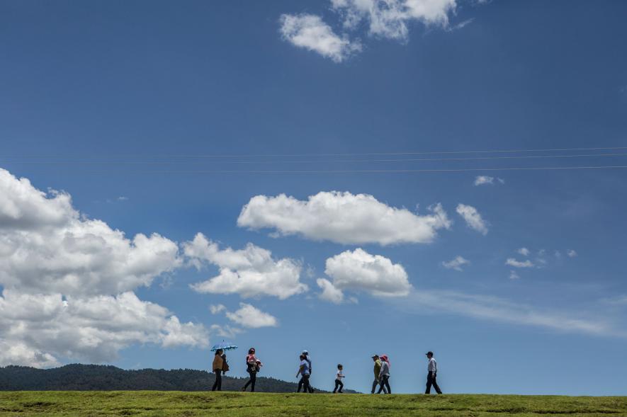 穿过玉米农田、冷杉森林，闯入墨西哥萤火虫梦幻小镇