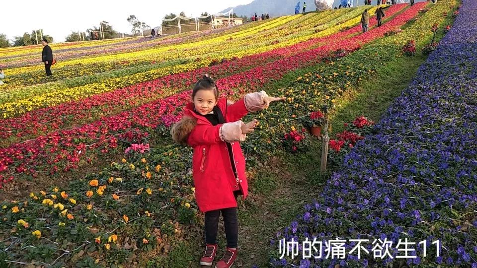 渝西旅游攻略一日游,渝西环线自驾游攻略