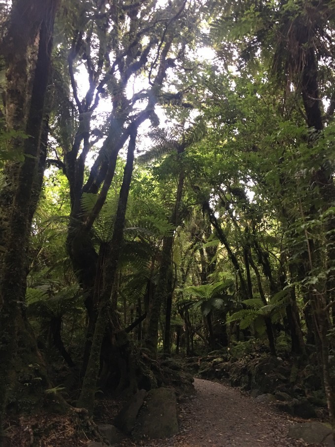 让你不出国就可以拍出欧洲即视感,让你不出家门就能看到江南的美景