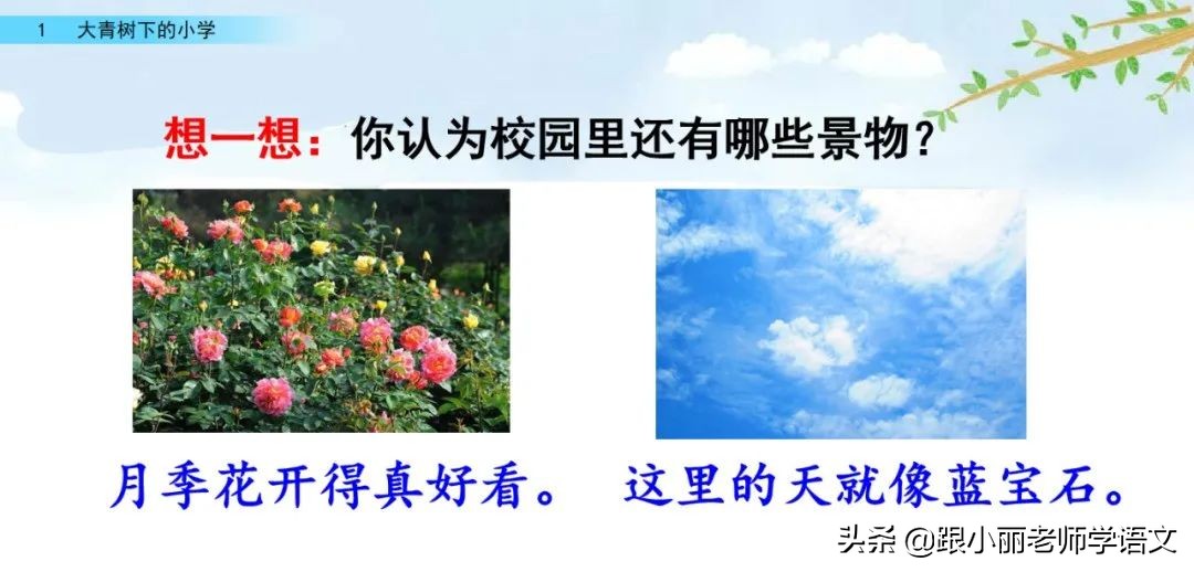 大青树下的小学重要背诵内容,大青树下的小学必会知识点