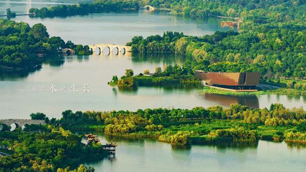 字节跳动招聘金融风控策略分析师 (字节跳动风控审核线上面试)