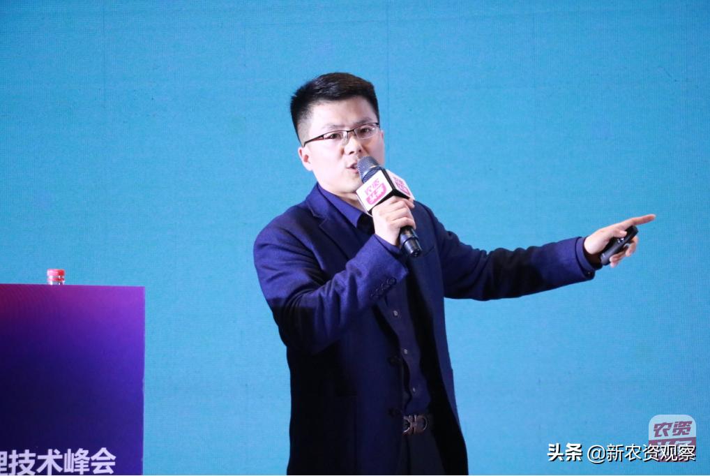 生姜栽培管理新技术,中国生姜栽培管理技术峰会