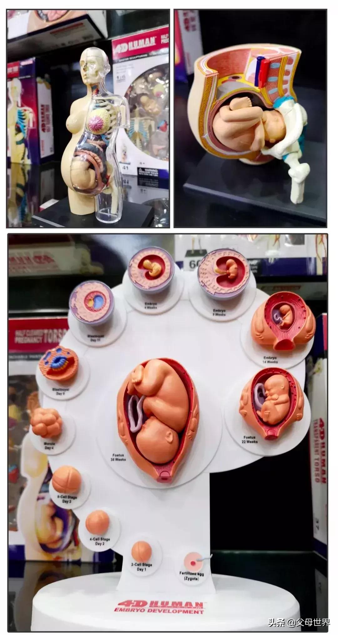 2019最畅销的玩具是什么,2020什么玩具最好卖