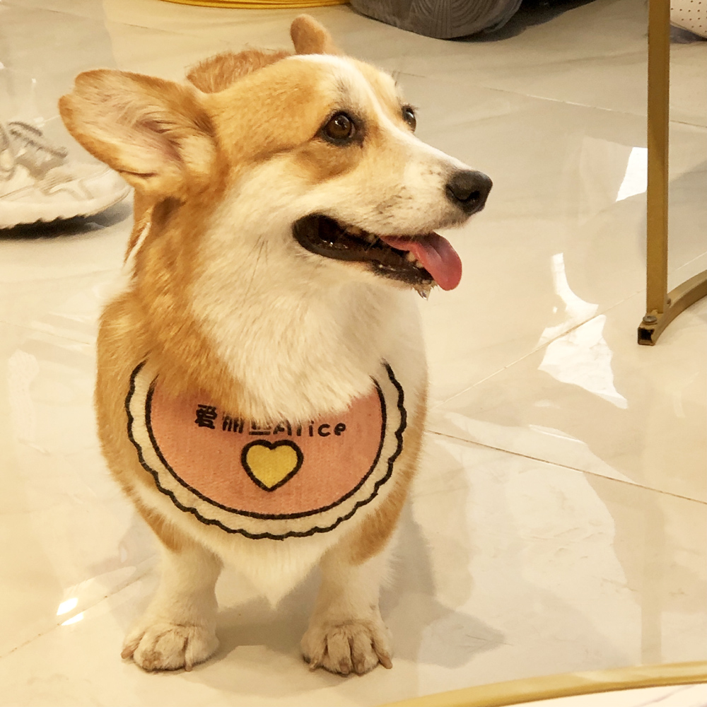 撸动物的网红店顺德,撸小动物的网红店北京世纪金源