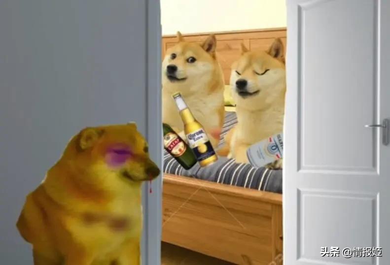 被做成表情包的柴犬doge,doge柴犬表情包万恶之源