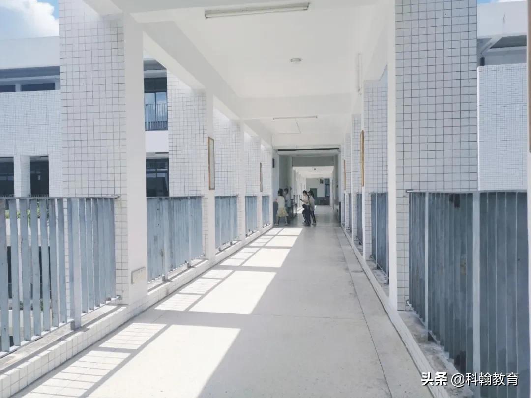 深圳读书的真实感受,深圳高中读书体验