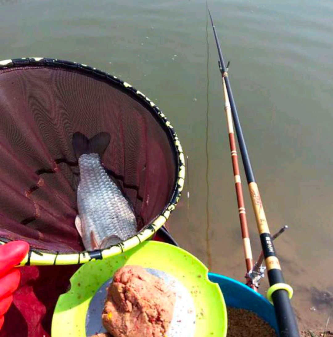 钓鱼断竿最好的方法,钓鱼断竿如何处理视频教程