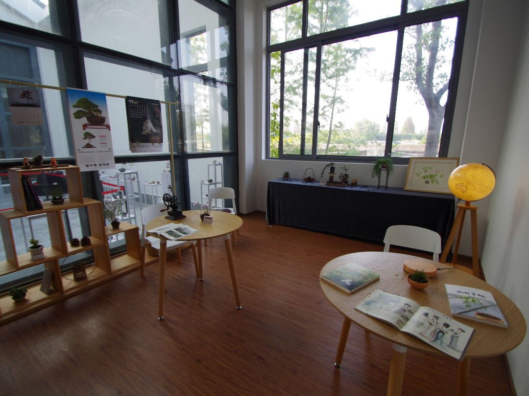 上海盆景博物馆:咫尺天地竟蕴含了整个植物宇宙