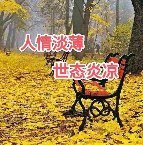 人情淡薄世态炎凉的社会,人情淡薄世态炎凉冷暖自知